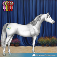 Horse Color:Gray Blue Roan Splash 
