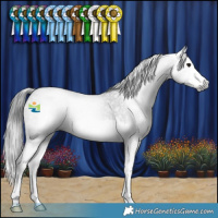 Horse Color:Gray Blue Roan Splash 