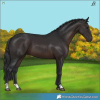 Horse Color:Brown 