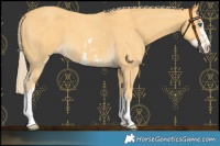 Horse Color:Gold Cream Champagne Sabino Splash and Gold Cream Champagne Sabino