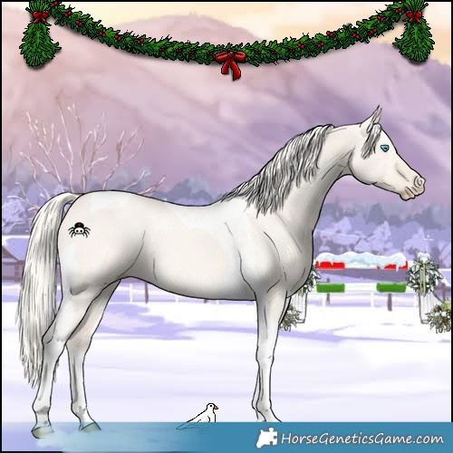 Horse Color:Cremello Dun Tobiano 