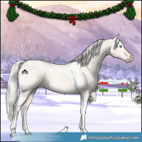 Horse Color:Cremello Dun Tobiano