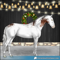 Horse Color:White Spotted Silver Brown Splash Rabicano 