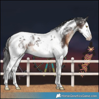 Horse Color:Brown Splash Tobiano Rabicano 