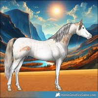 Horse Color:Perlino Splash Tobiano  and Gray Perlino Splash Tobiano 