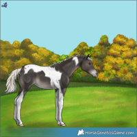 Horse Color:Liver Chestnut Mushroom Tobiano 