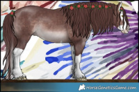 Horse Color:Platinum Chocolate Brown Splash 