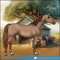 Horse Color:Red Dun 