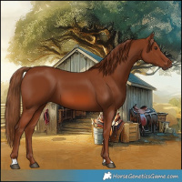 Horse Color:Chestnut 