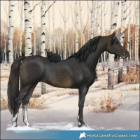 Horse Color:Brown Sabino Rabicano  and Buckskin Sabino Rabicano 