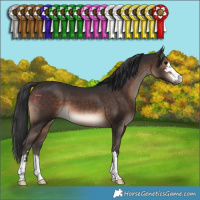 Horse Color:Brown 