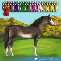 Horse Color:Brown 