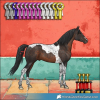 Horse Color:Brown Tobiano 