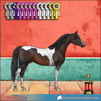 Horse Color:Brown Tobiano 