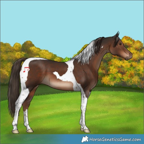 Horse Color:Liver Chestnut Tobiano 