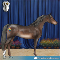 Horse Color:Liver Chestnut Mushroom 