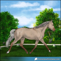 Horse Color:Silver Grullo 