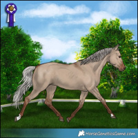 Horse Color:Silver Grullo 