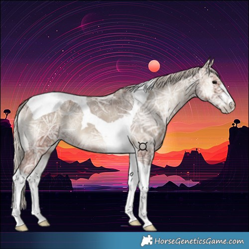 Horse Color:Silver Blue Onyx Ice Tobiano