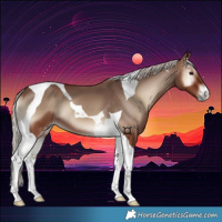 Horse Color:Silver Blue Onyx Tobiano 