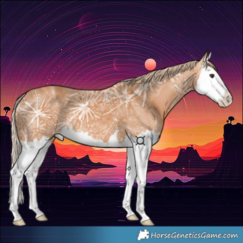 Horse Color:Chestnut Ice Splash 
