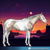 Horse Color:Silver Blue Onyx Ice Splash Tobiano 