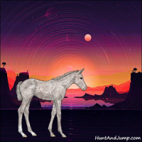 Horse Color:Silver Black Ice 