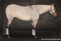 Horse Color:Bay Roan Dun 