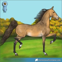 Horse Color:Buckskin Rabicano 