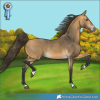 Horse Color:Buckskin Rabicano