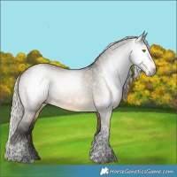 Horse Color:Gray Silver Buckskin Dun Tobiano 