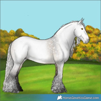 Horse Color:Gray Silver Buckskin Dun Tobiano 