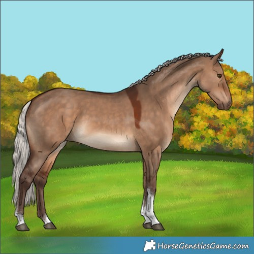 Horse Color:Silver Brown Dun Tobiano 