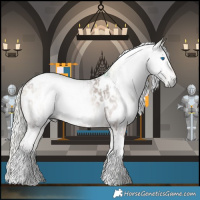 Horse Color:Gray Watercolor Silver Grullo Splash Tobiano Appaloosa  and Silver Blue Onyx Tobiano Appaloosa 
