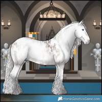 Horse Color:Gray Watercolor Silver Grullo Splash Tobiano Appaloosa and Silver Blue Onyx Tobiano Appaloosa