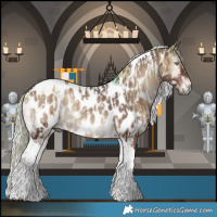 Horse Color:Gray Watercolor Silver Grullo Splash Tobiano Appaloosa  and Silver Blue Onyx Tobiano Appaloosa 