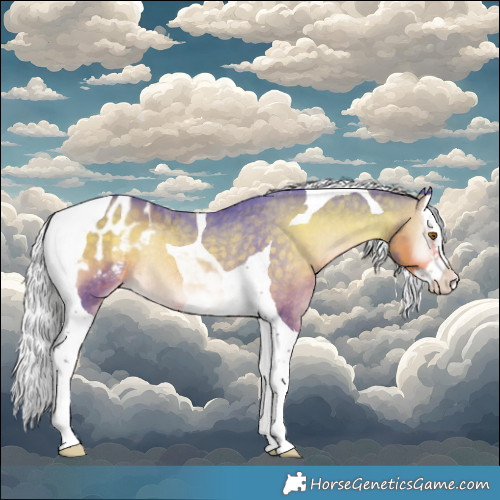 Horse Color:Watercolor Silver Smoky Blue Onyx Splash Tobiano Appaloosa Rabicano 