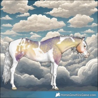 Horse Color:Watercolor Silver Smoky Blue Onyx Splash Tobiano Appaloosa Rabicano 