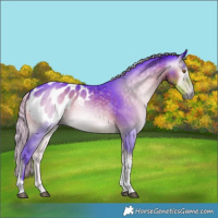 Horse Color:Gray Watercolor Silver Smoky Blue Onyx Tobiano Appaloosa Rabicano 