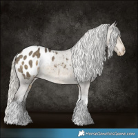 Horse Color:Silver Smoky Grullo Tobiano Appaloosa 