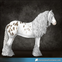 Horse Color:Silver Smoky Grullo Tobiano Blanket 