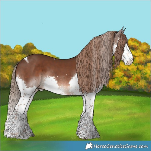 Horse Color:Liver Chestnut Sabino Splash Tobiano 