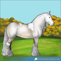 Horse Color:Gray Silver Buckskin Dun Tobiano 