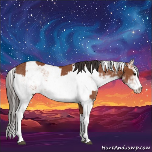 Horse Color:Bay Sabino Rabicano and Bay Sabino Rabicano