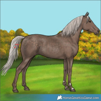 Horse Color:Silver Black 