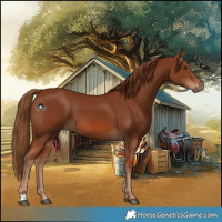 Horse Color:Chestnut 
