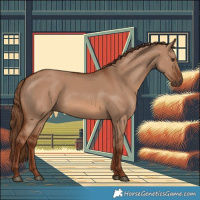 Horse Color:Red Dun 