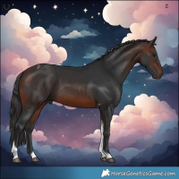 Horse Color:Brown Tobiano 