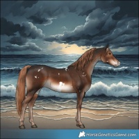 Horse Color:White Spotted Liver Chestnut 