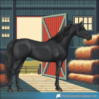 Horse Color:Black 